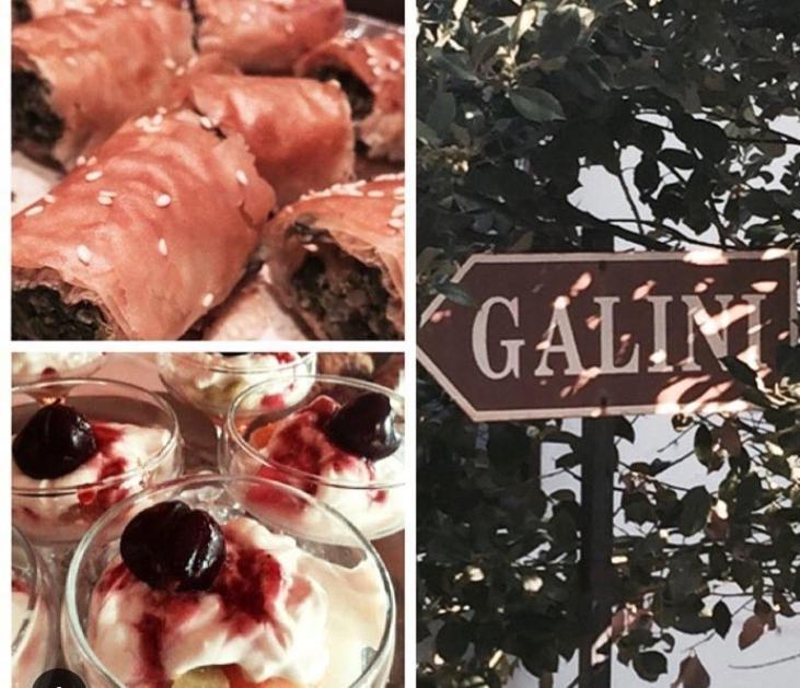 Galini Hotel Agios Ioannis Pelion