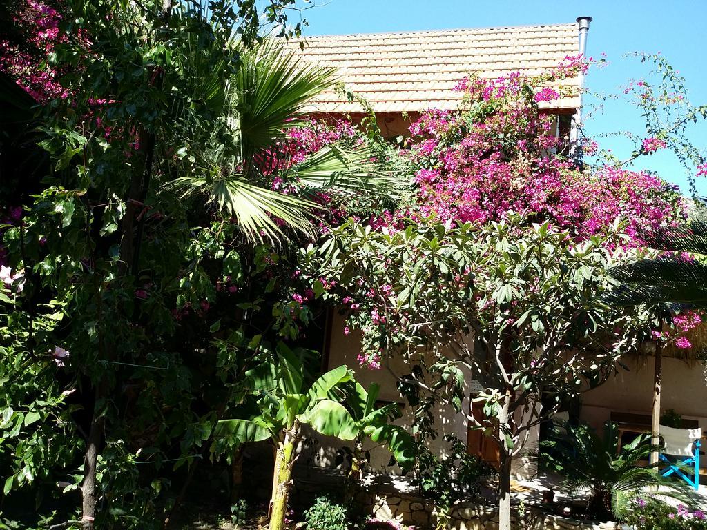 Olive Tree Cottages Holiday home Palaiochora