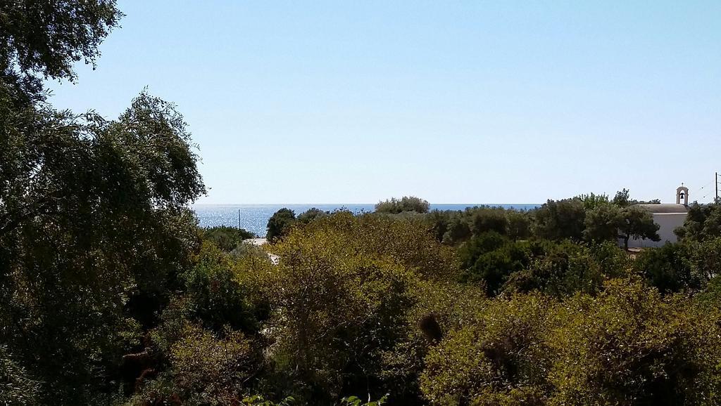 Olive Tree Cottages Holiday home