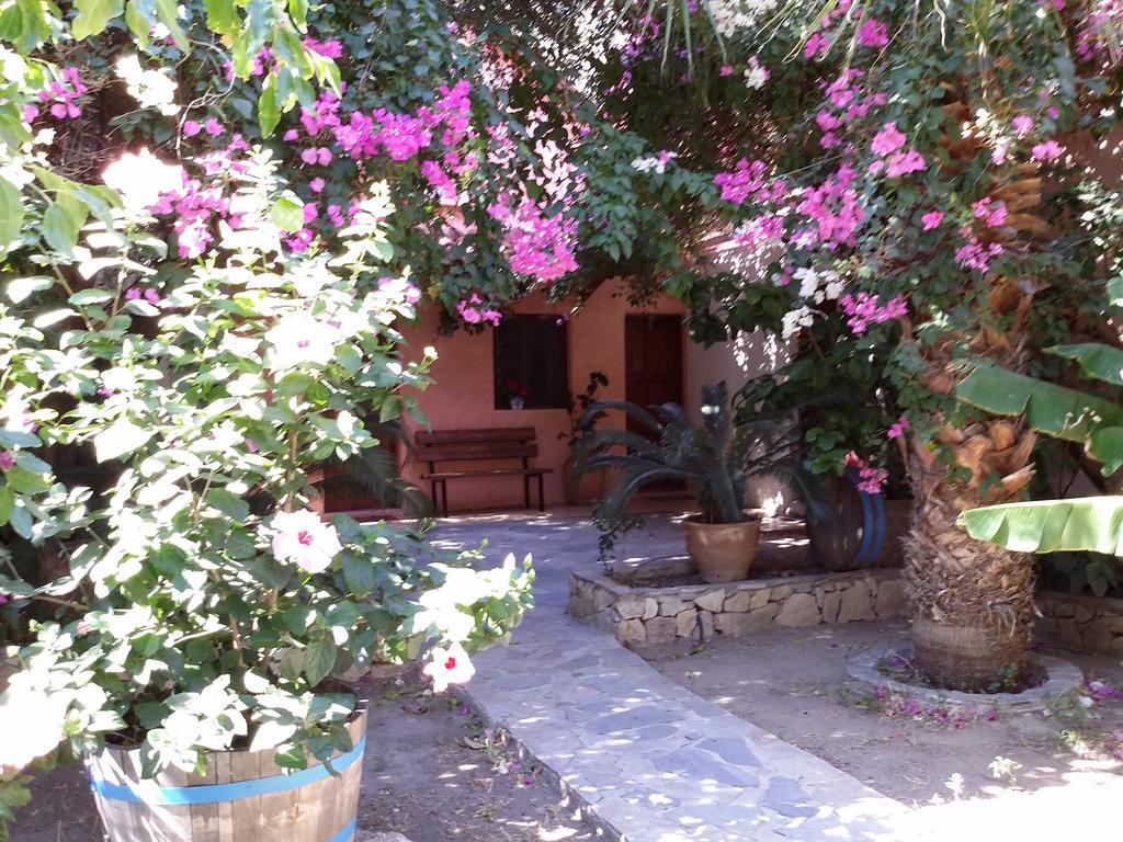 Olive Tree Cottages Holiday home Palaiochora
