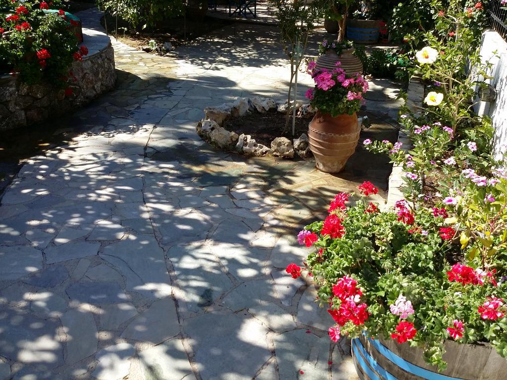 Olive Tree Cottages Holiday home Palaiochora
