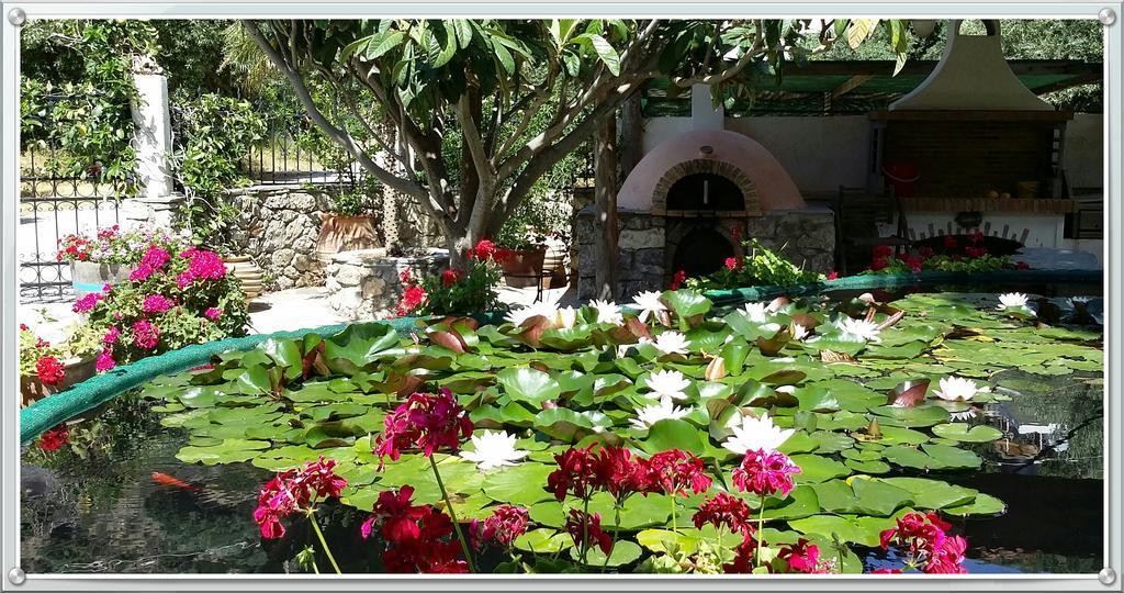 Olive Tree Cottages Holiday home Palaiochora