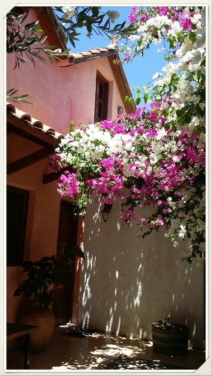 Olive Tree Cottages Holiday home Palaiochora