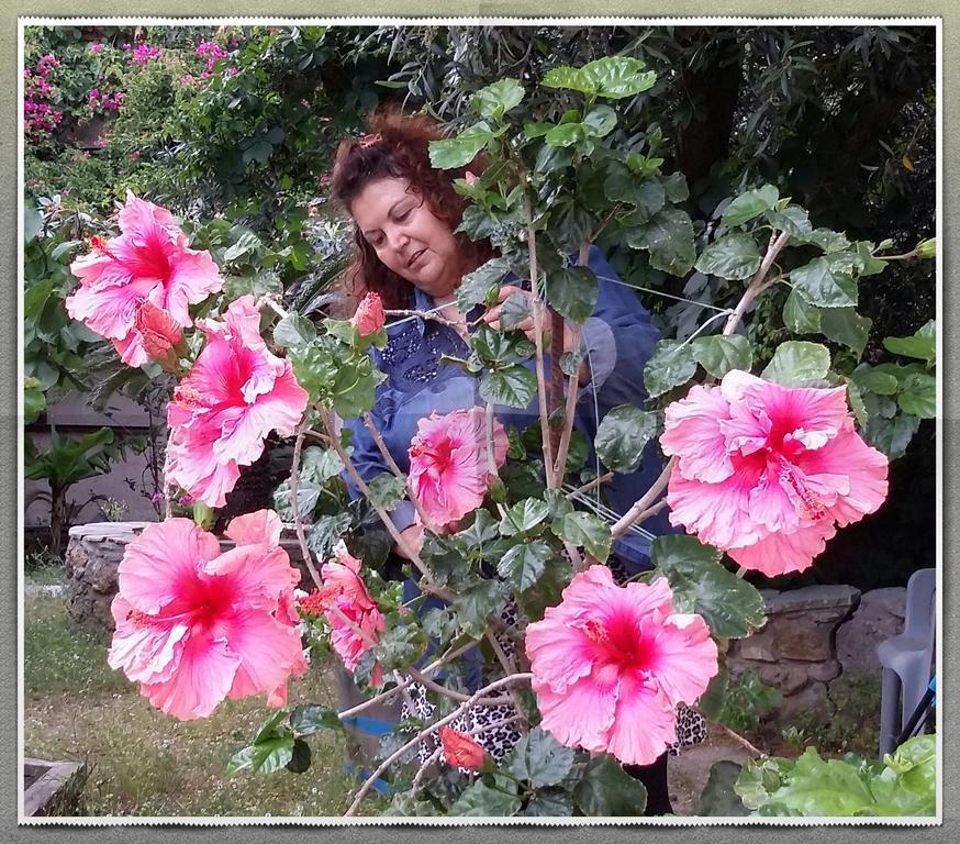 Holiday home Olive Tree Cottages *