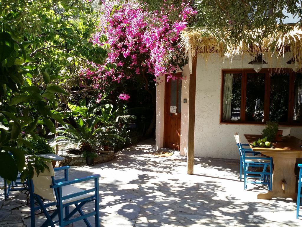 Olive Tree Cottages Holiday home