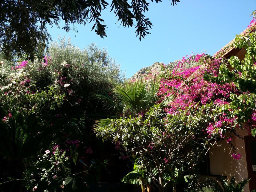 Olive Tree Cottages Holiday home Palaiochora
