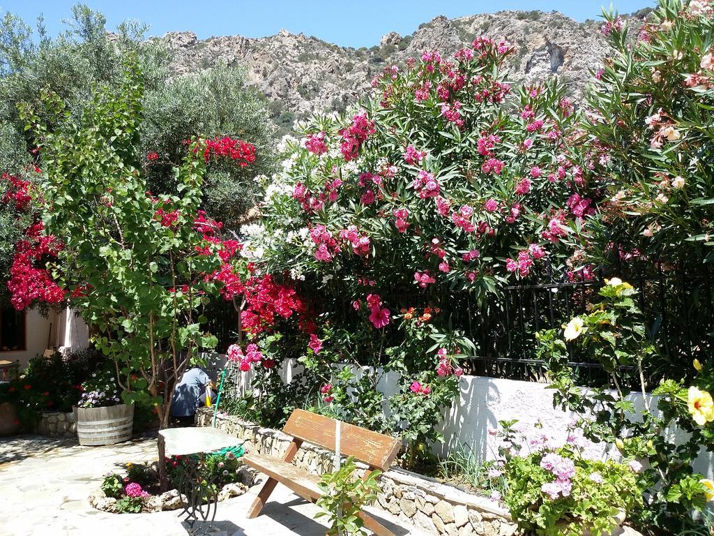 Holiday home Olive Tree Cottages Palaiochora