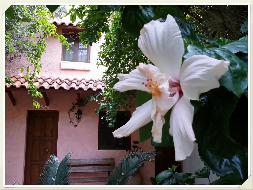 Olive Tree Cottages Holiday home