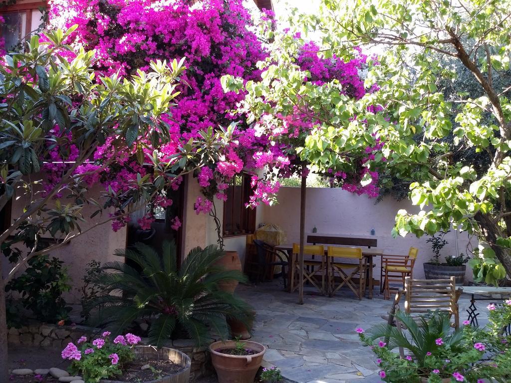 Holiday home Olive Tree Cottages *