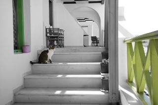 Adamis Majesty 3* Fira (Santorini)