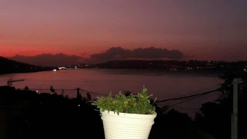 Olympic View Guest house