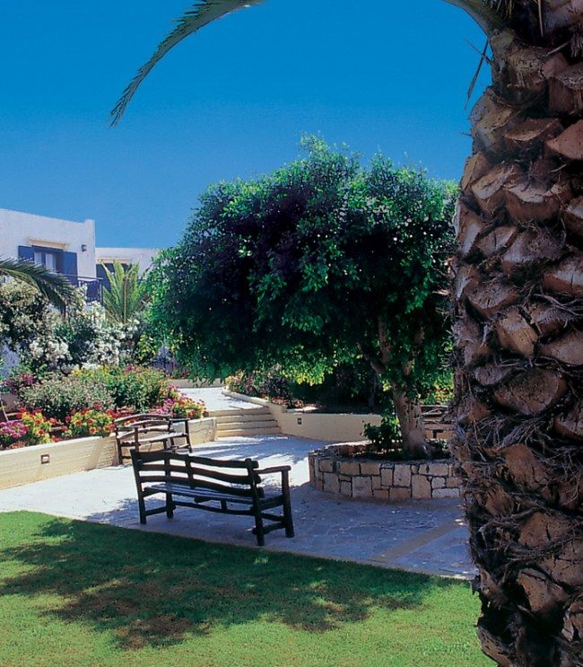 Hotel Chrissi Amoudia