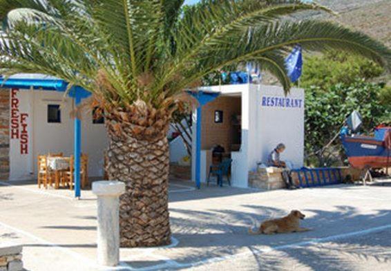 Koukos Guest house Agia Theodoti
