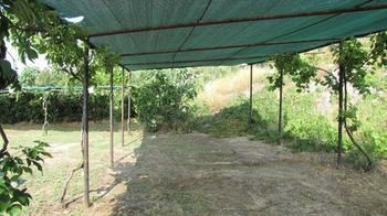 House Evristhenis 1