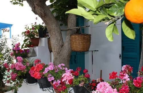 Tasia Aparthotel Agios Prokopios (Naxos)