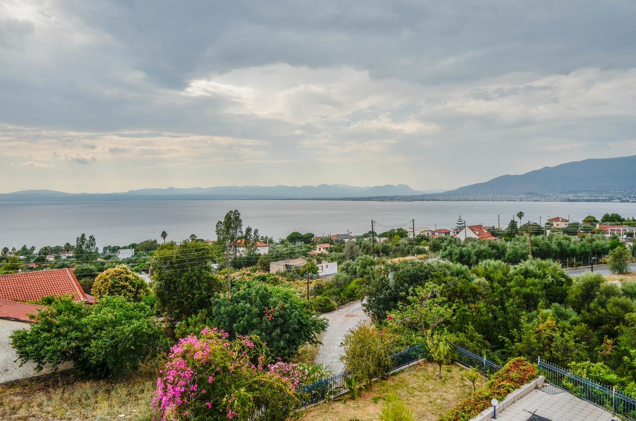 Villa Dolphin