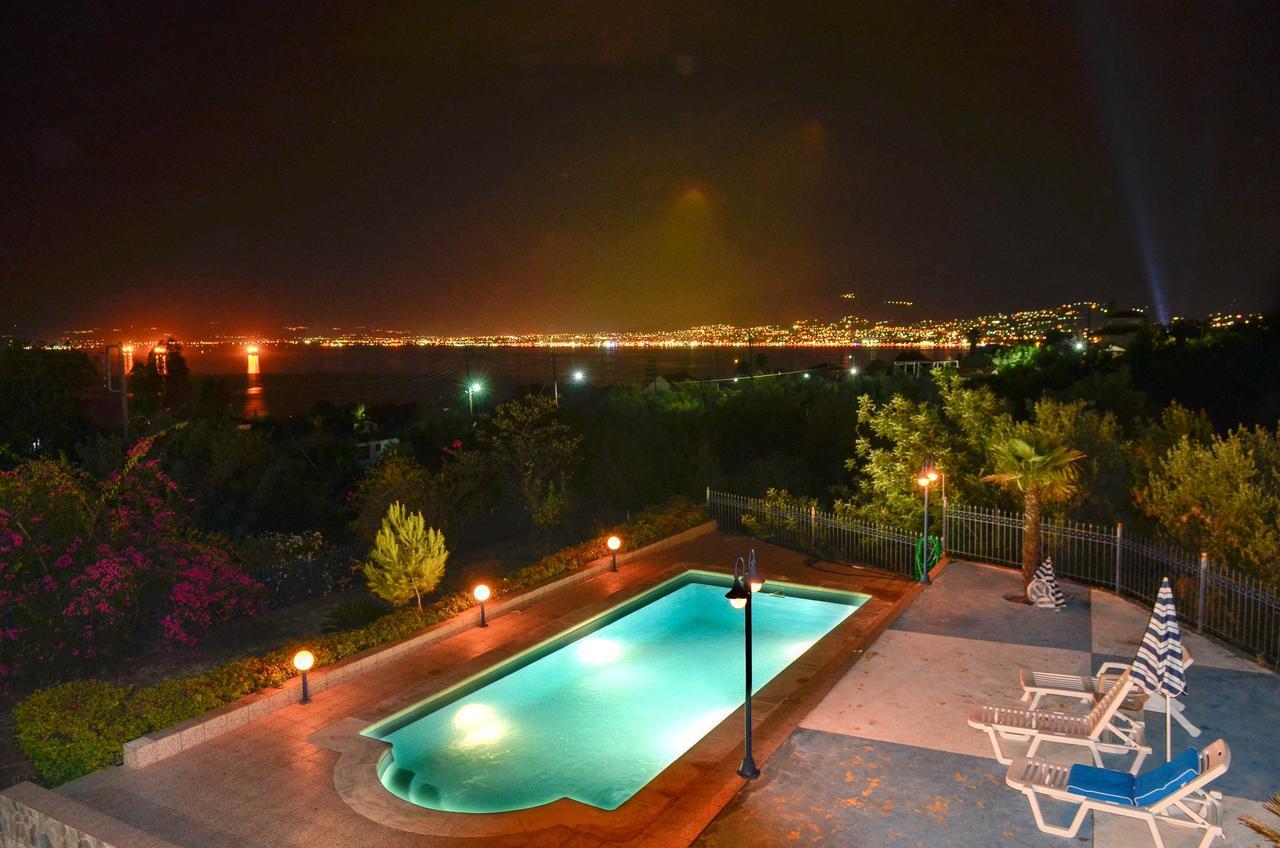 Villa Dolphin