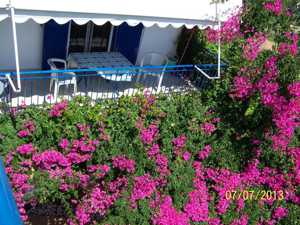Gianna Nydri (Lefkada)