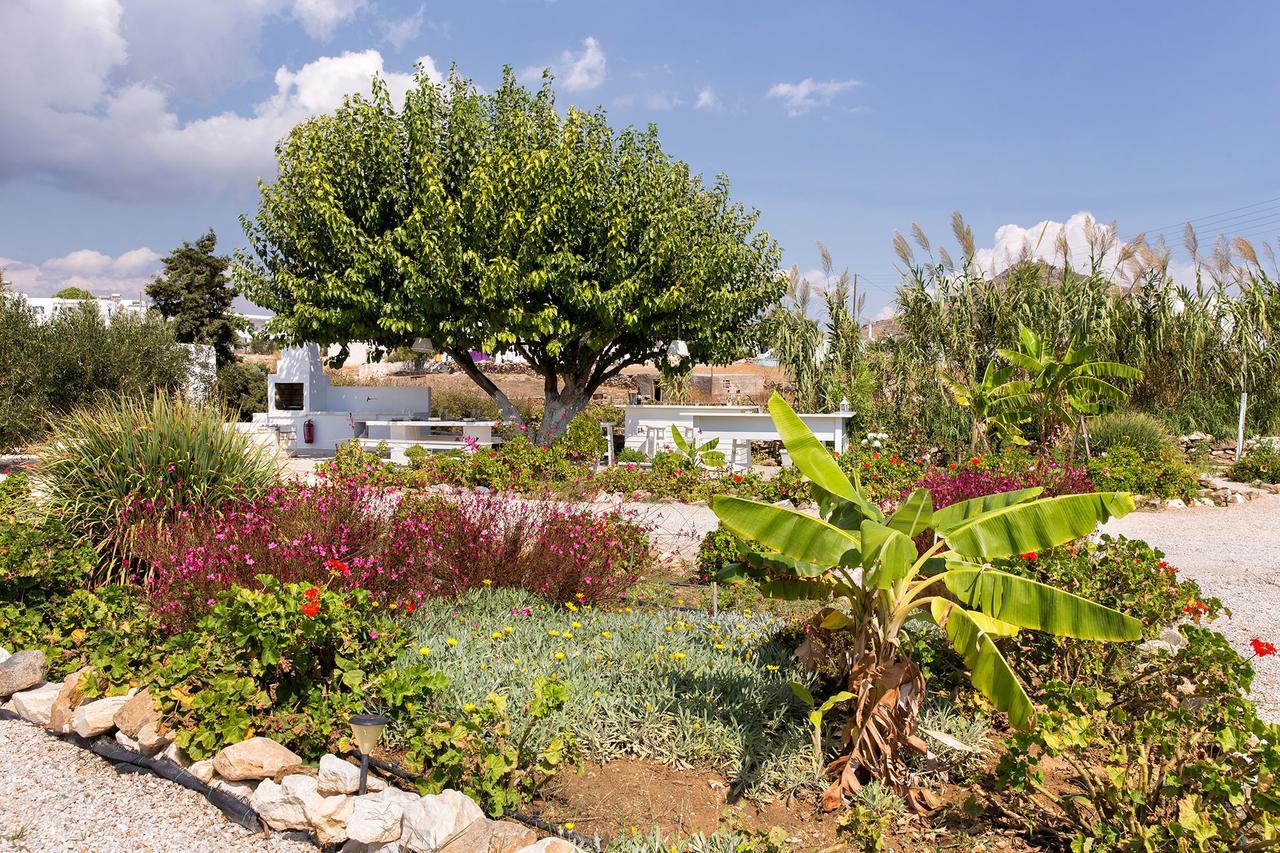 San Dimitrio House On The * Logaras