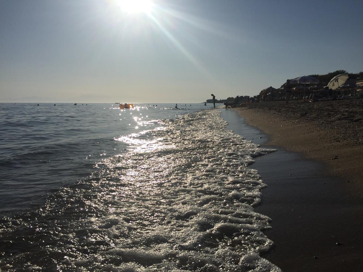 Seaside * Flogita