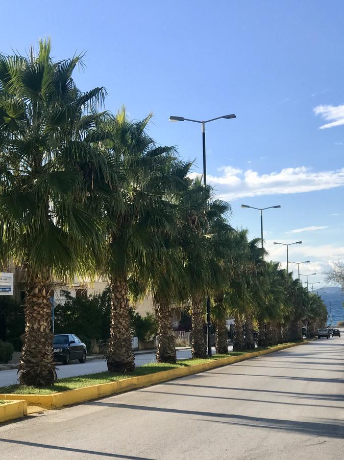 Apartment El Mar, 2 Bdr Seaview Apartment, 7 Min From