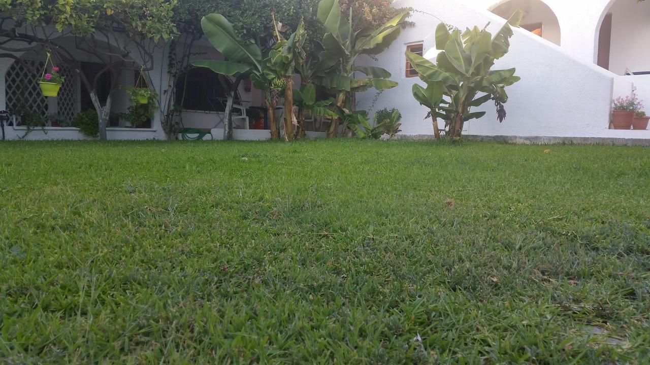 Rubini