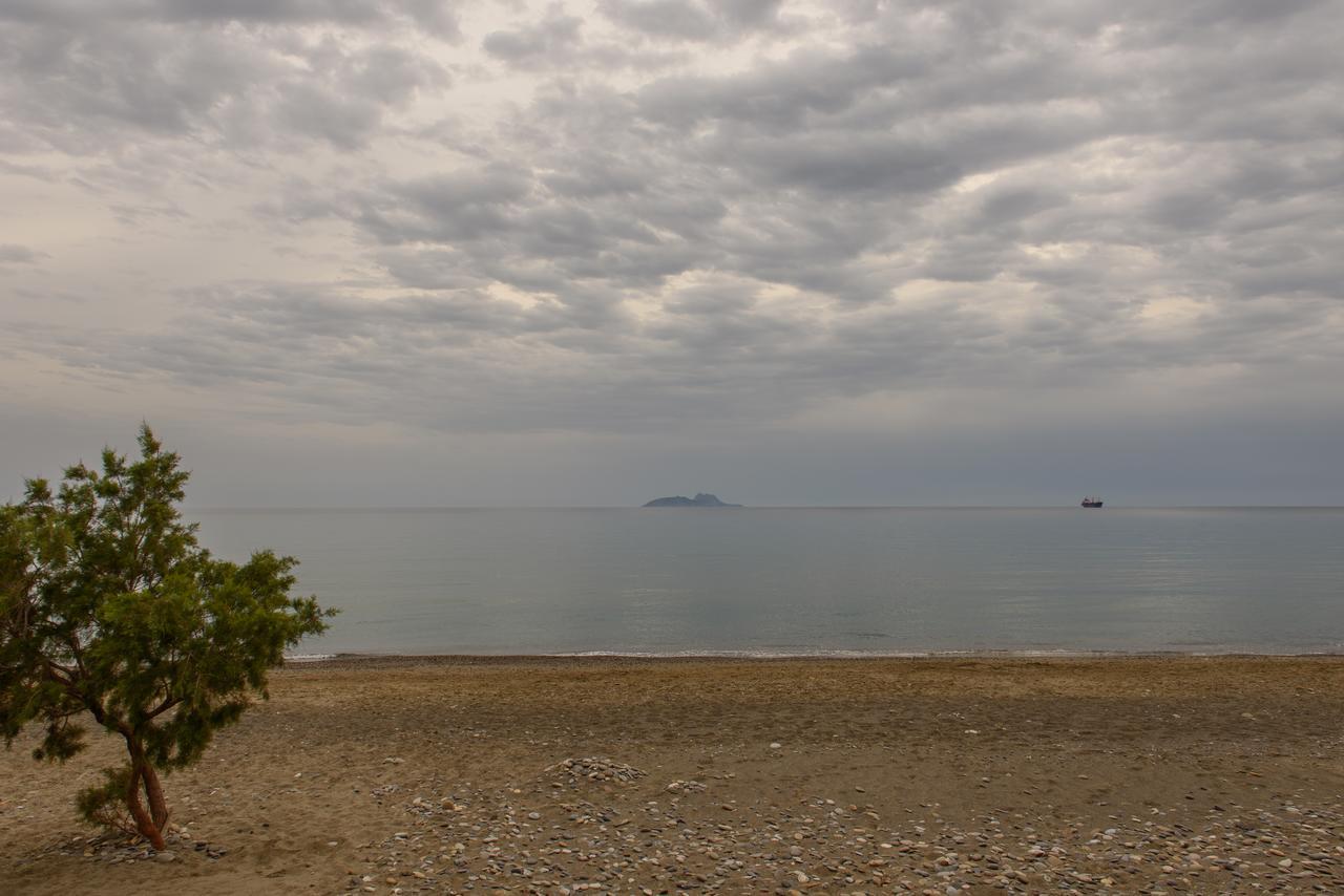 Lidia Beach *