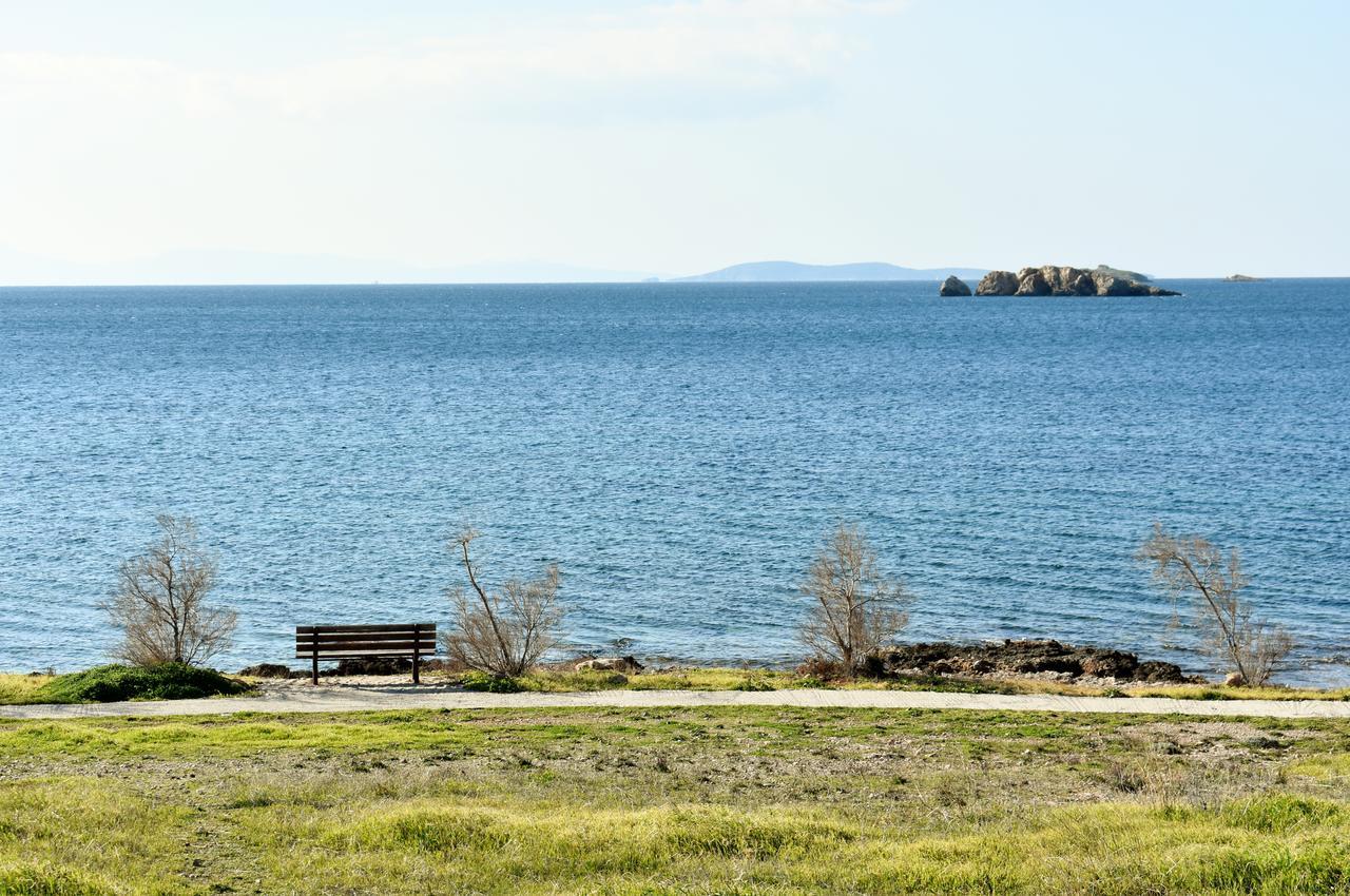 El Mar, 2 Bdr Seaview Apartment, 7 Min From *