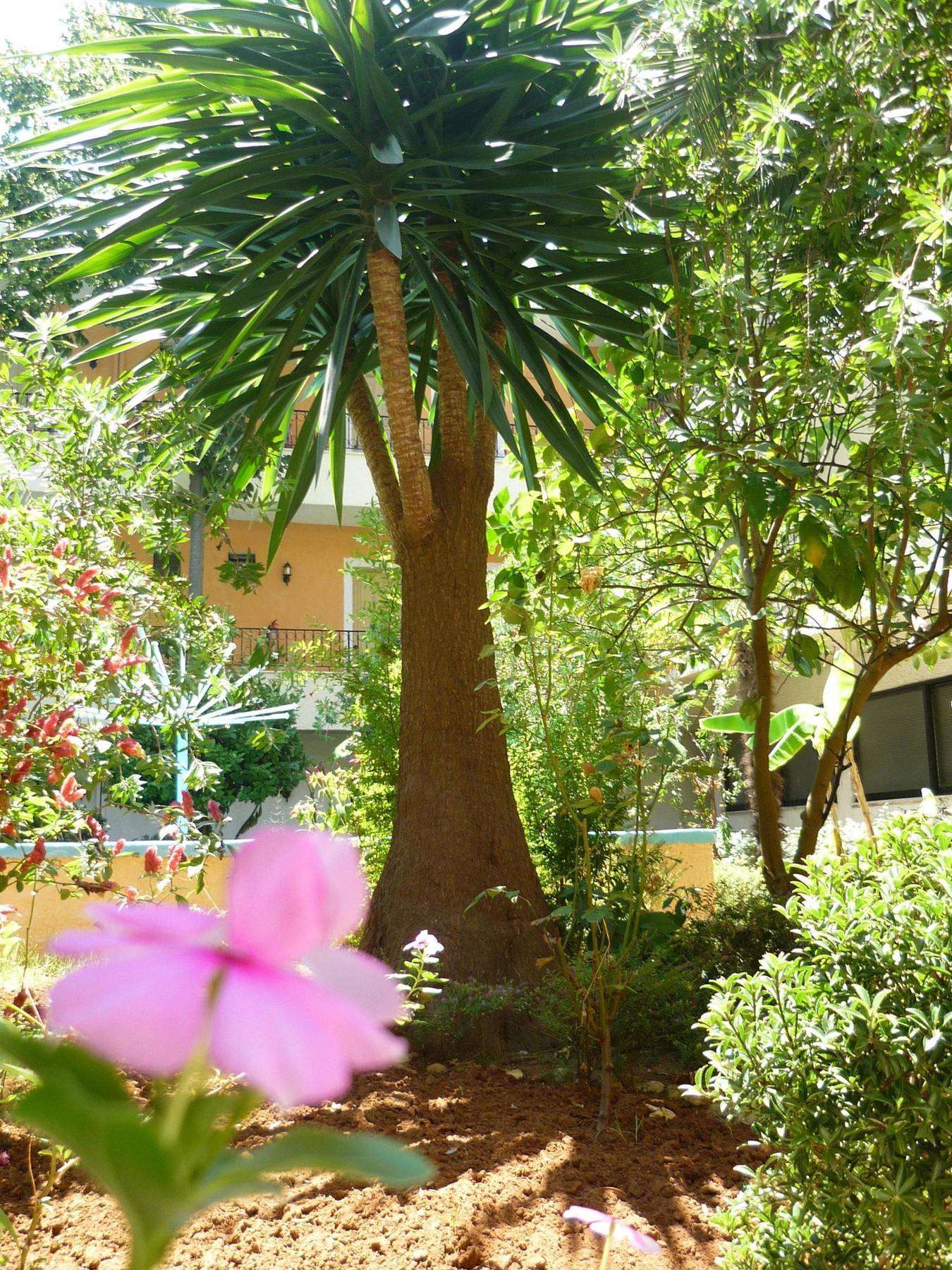 Alkionis Hotel Moraitika