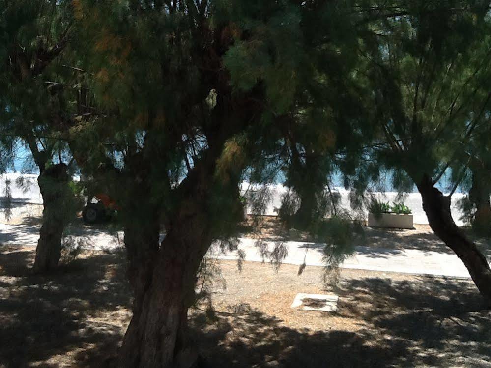 Tavari Beach Hotel Hotel 3*