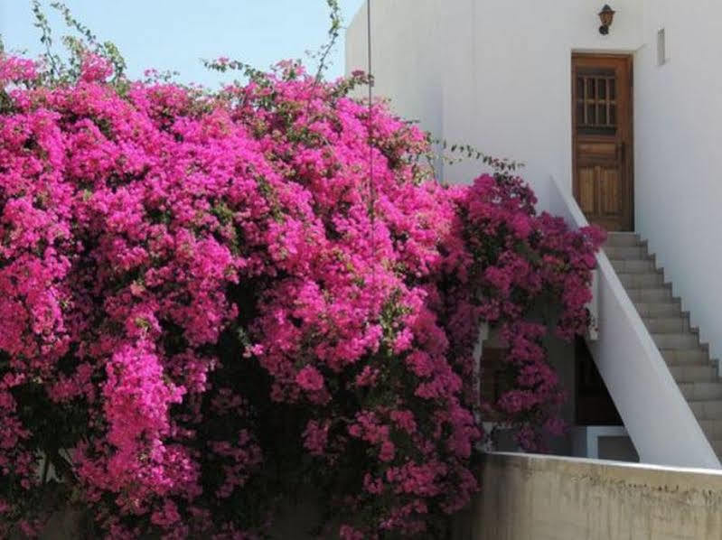Hotel Armonia Kamari (Santorini)