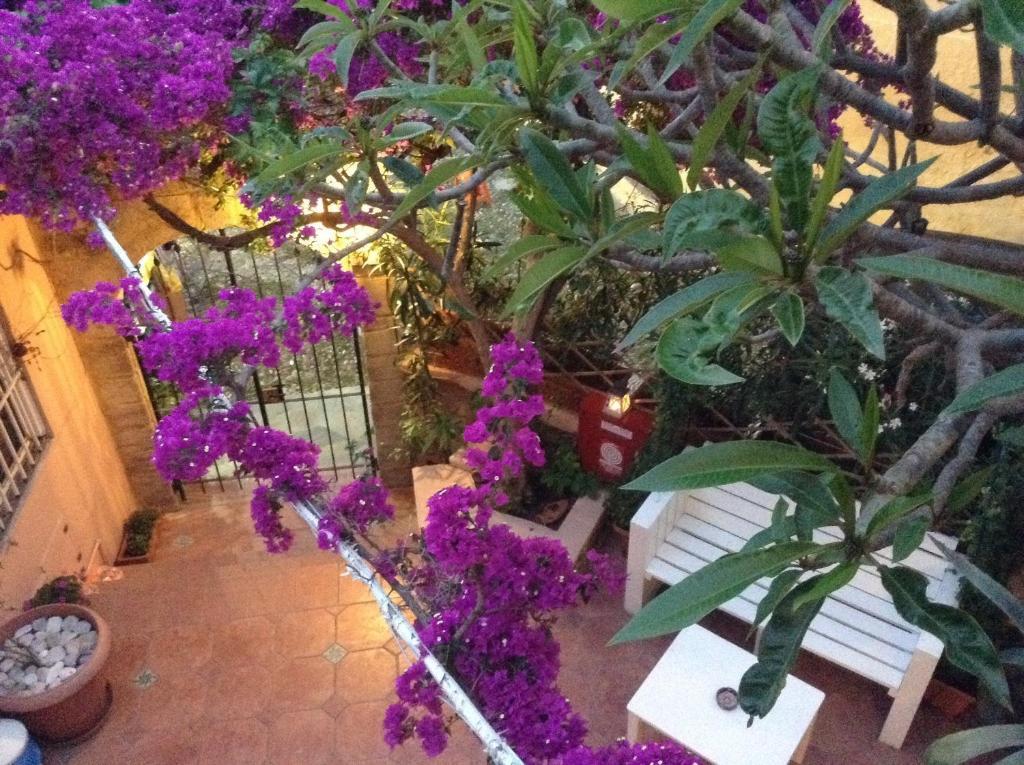 Hotel Attiki Rhodes City