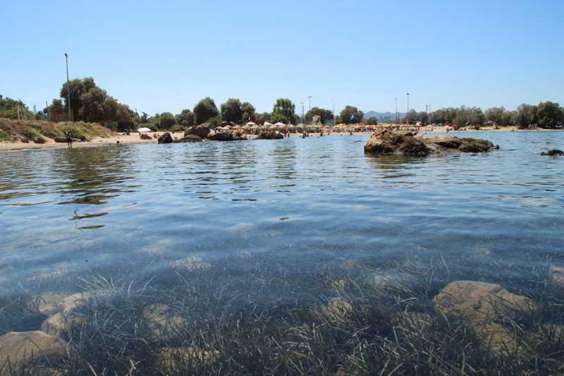 Hotel Elotia