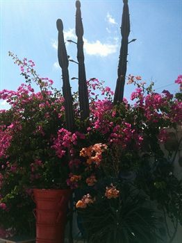 Aparthotel Sun Of Mykonos 2*