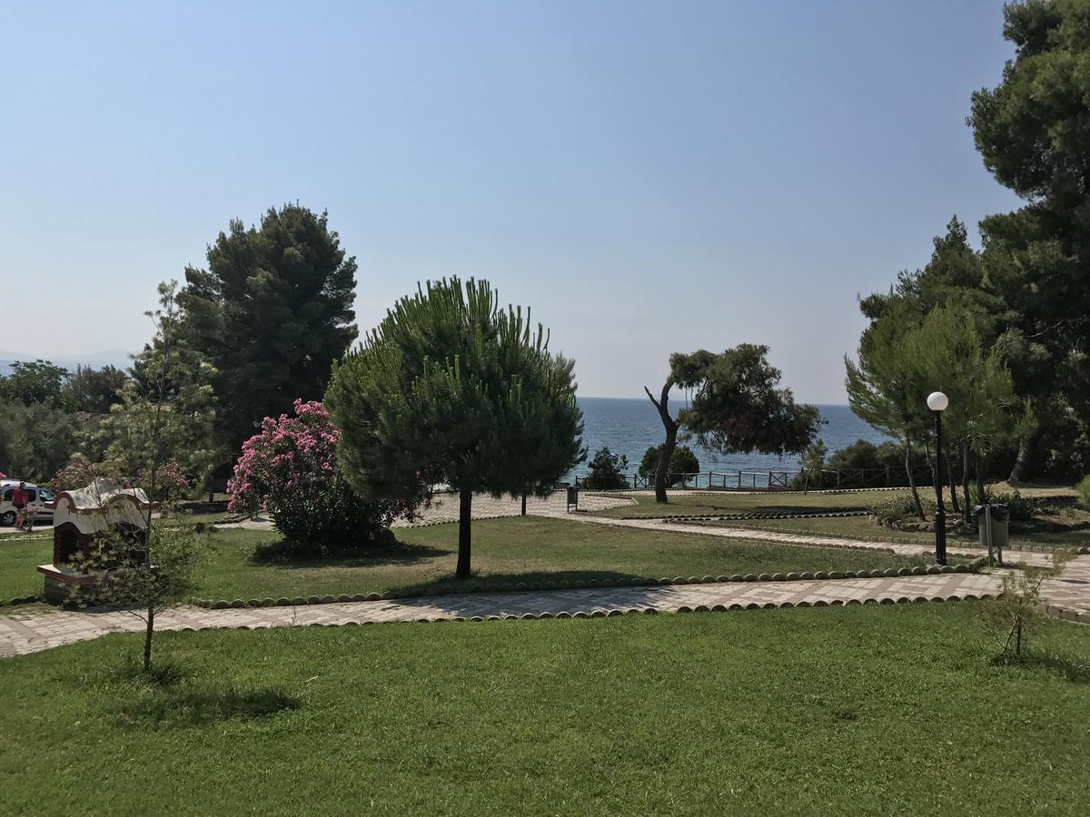 Vozina * Metamorfosi (Sithonia)