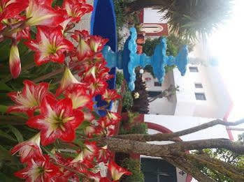 Hotel Semeli - Adults Only 2*