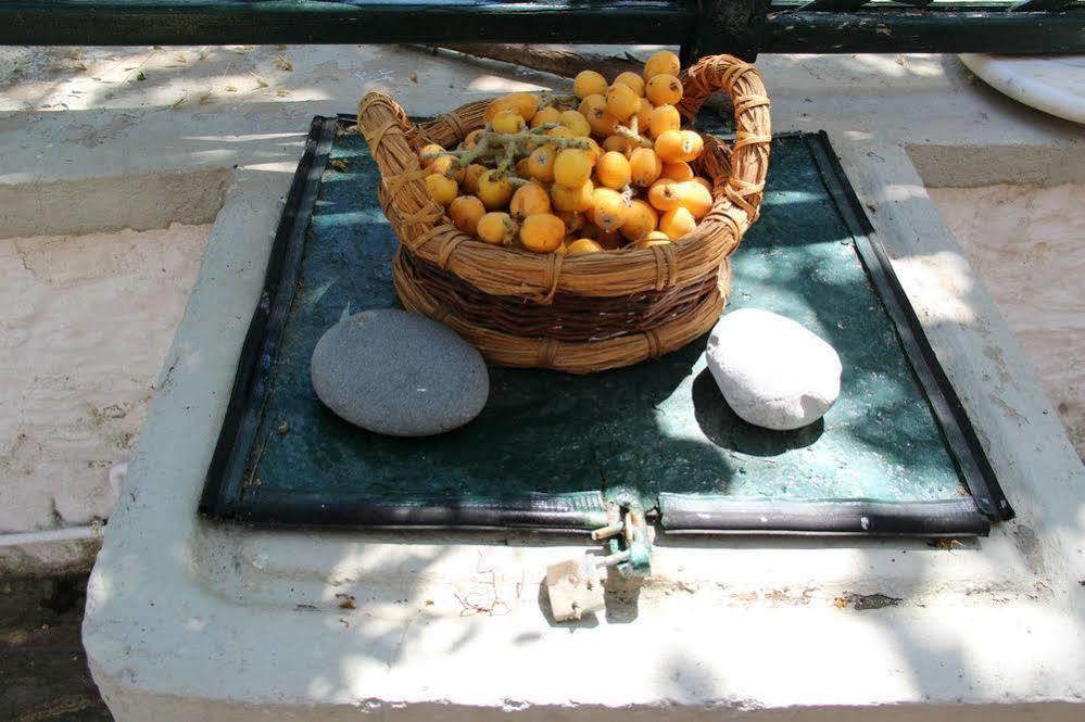 Holiday home Chios Stone House *