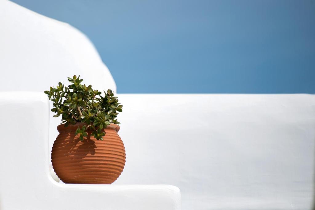 Mykonos Thea