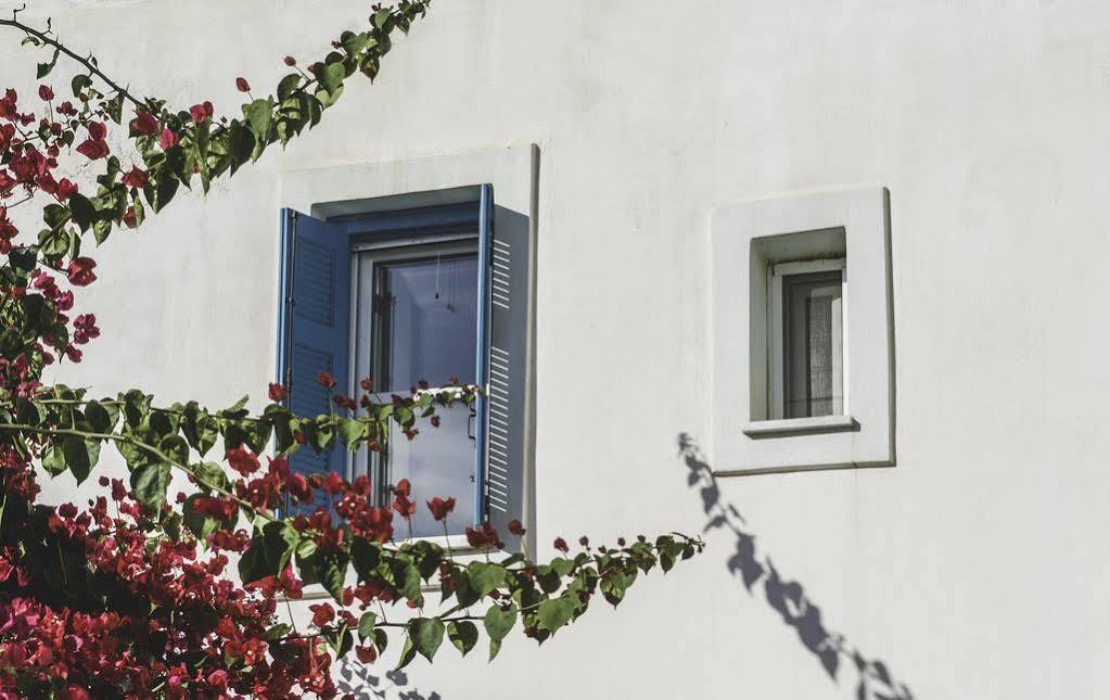 Villa Andros Maisonettes *