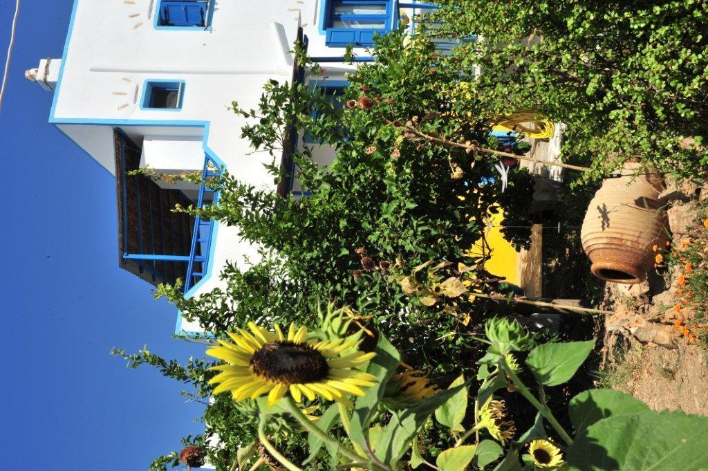 Apartment Titika Katapola