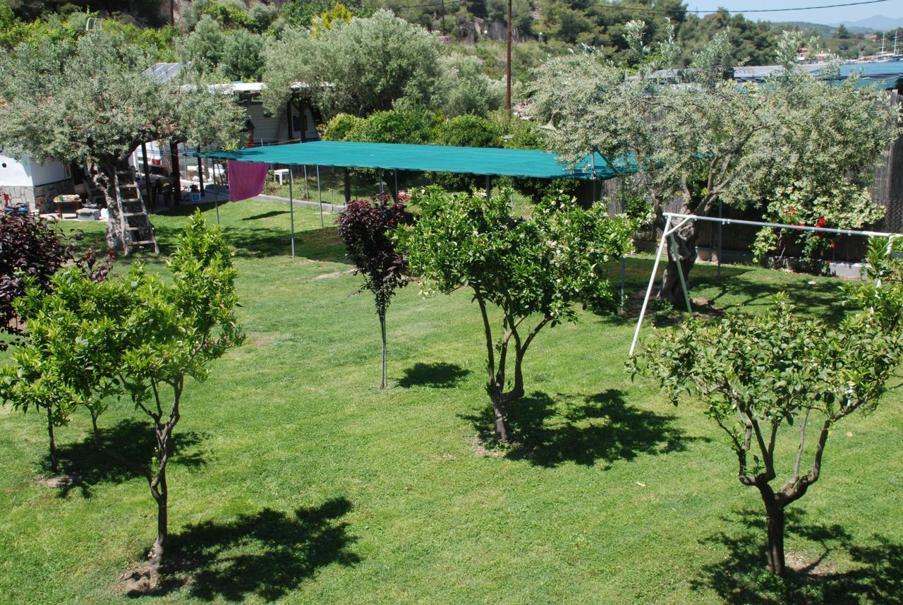 Latoura Apartment