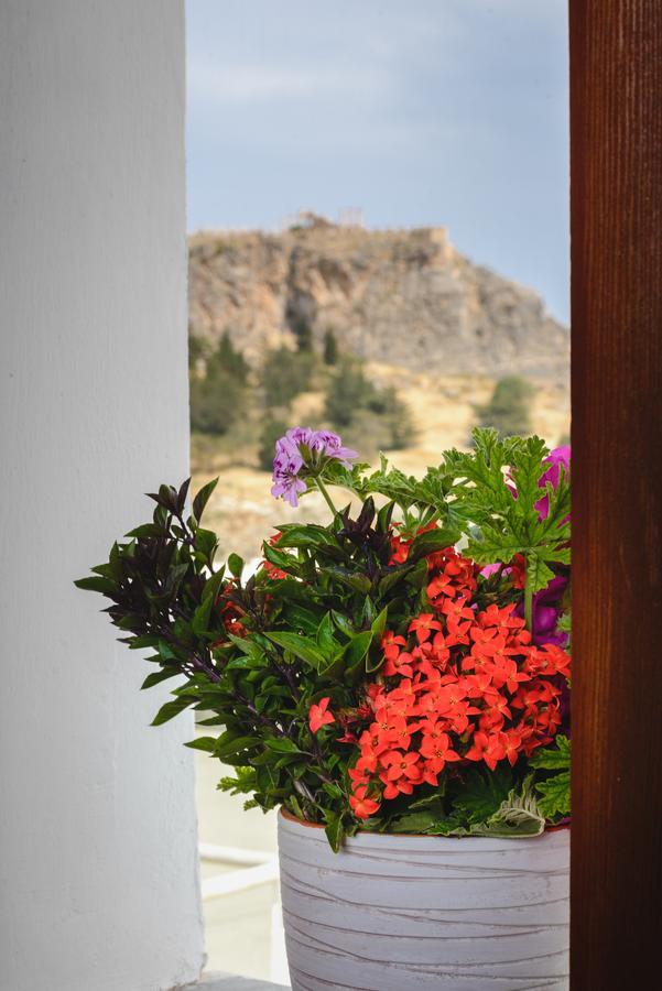 Apartment Meandros Suites *