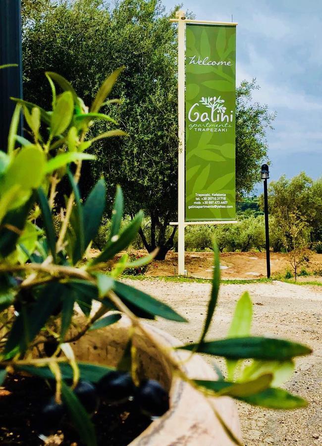Apartment Galini Trapezaki (Kefalonia)