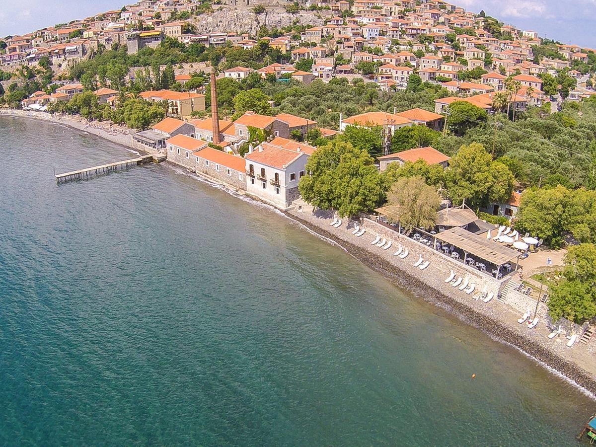 Olive Press & Hotel 3*