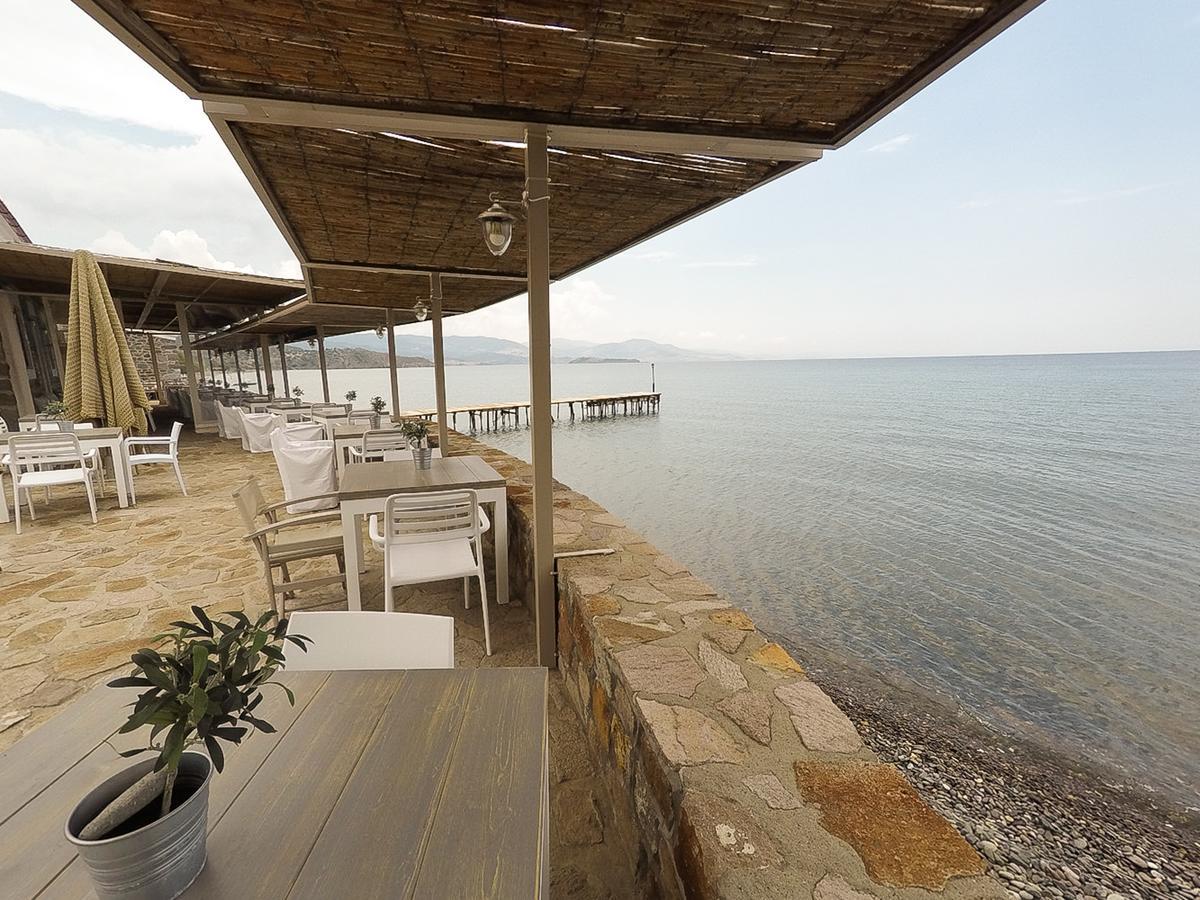 Olive Press & Hotel 3*