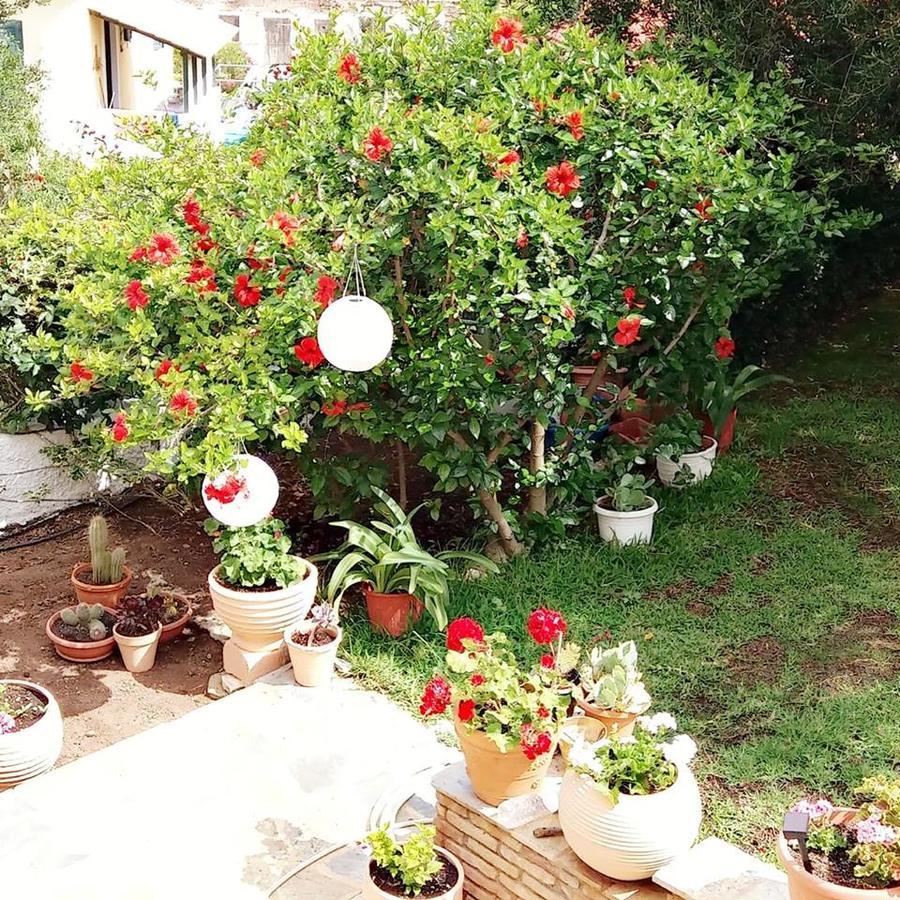 Guest house Gerania Asos
