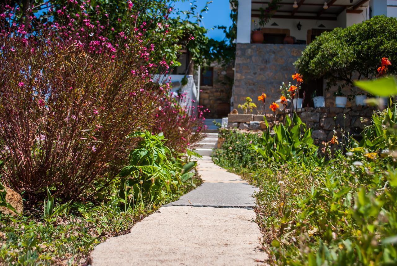 Patmos Mathios Studios- Sapsila