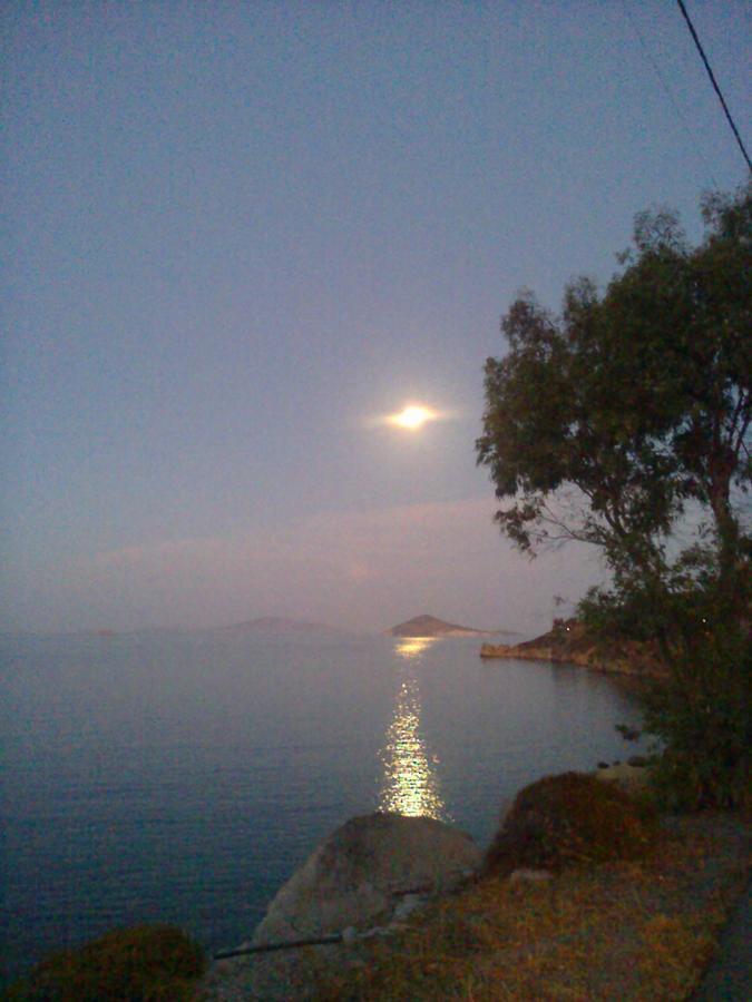 Patmos Mathios Studios- Sapsila