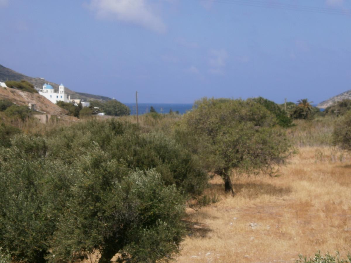 Apartment Amorgaia3 Katapola