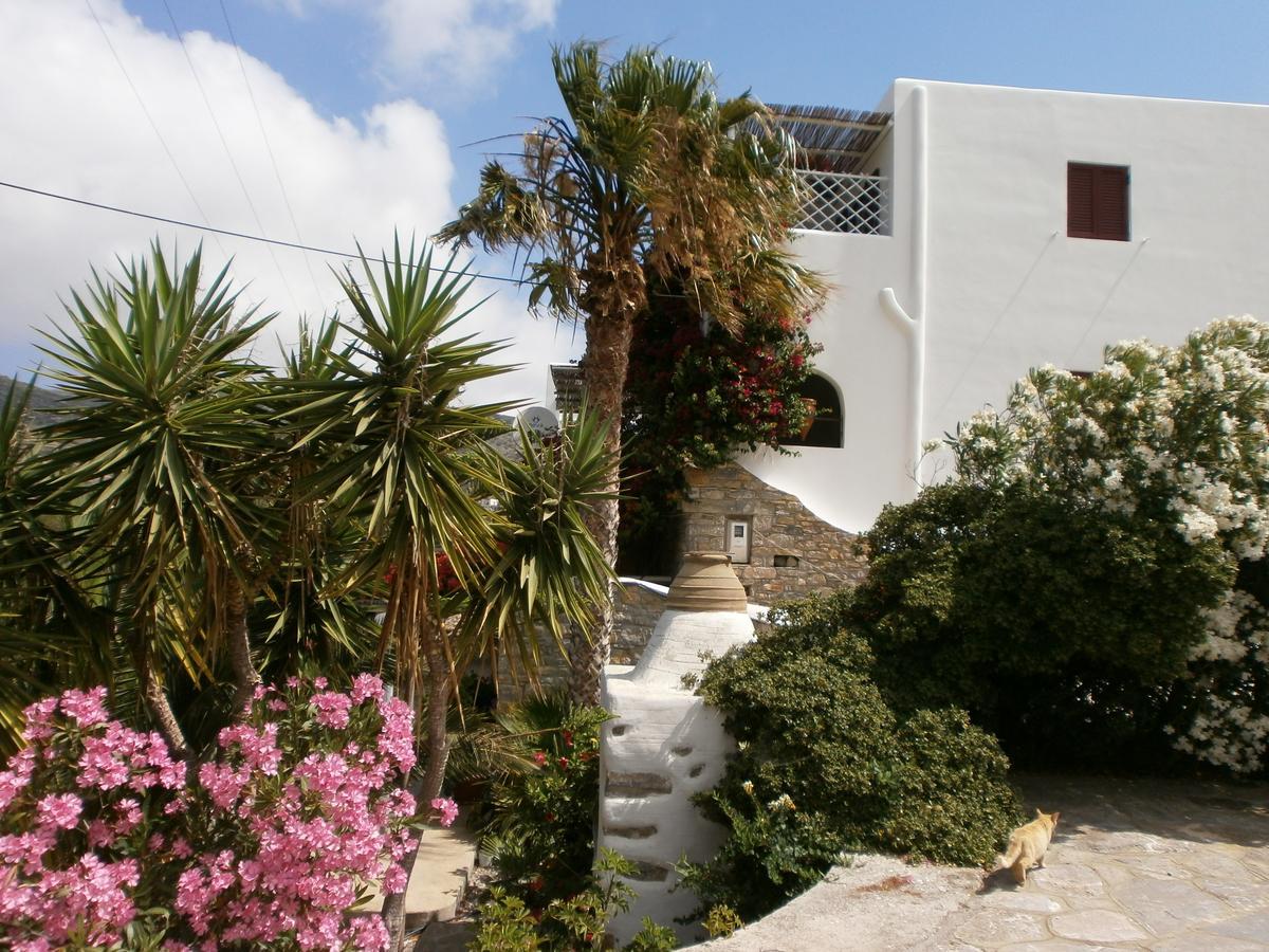 Amorgaia3 Apartment *